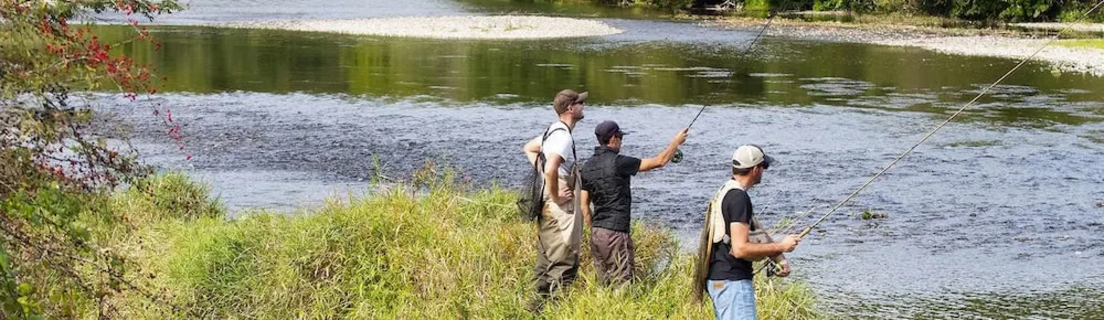 Lyolyl BnB Nature Loisirs