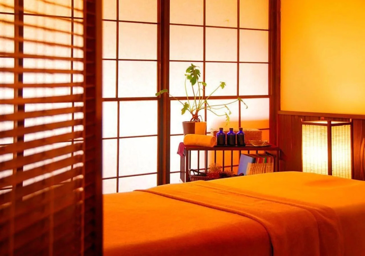 Hakone Kowakien Mikawaya Ryokan