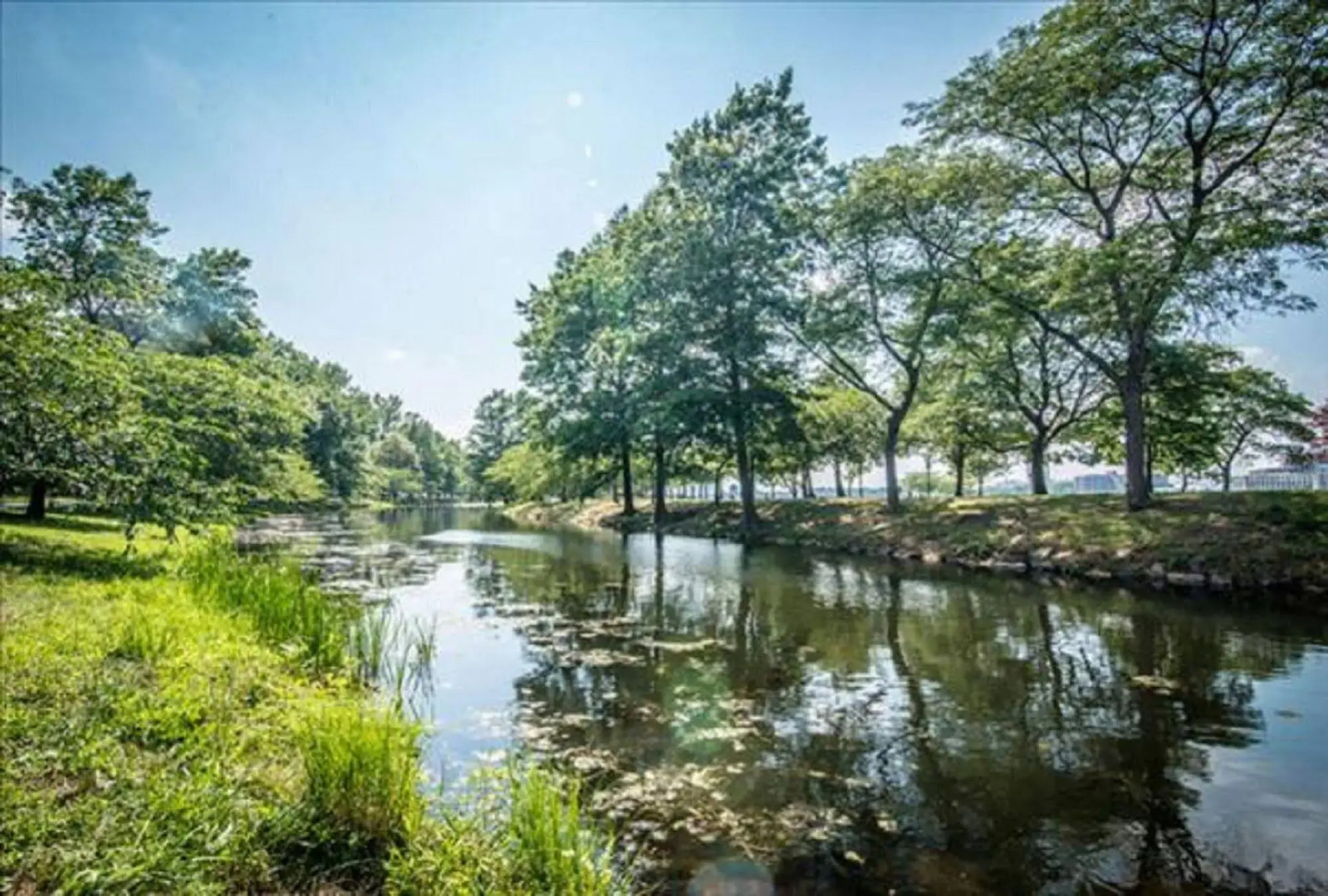 Global Luxury Suites at the Commonwealth