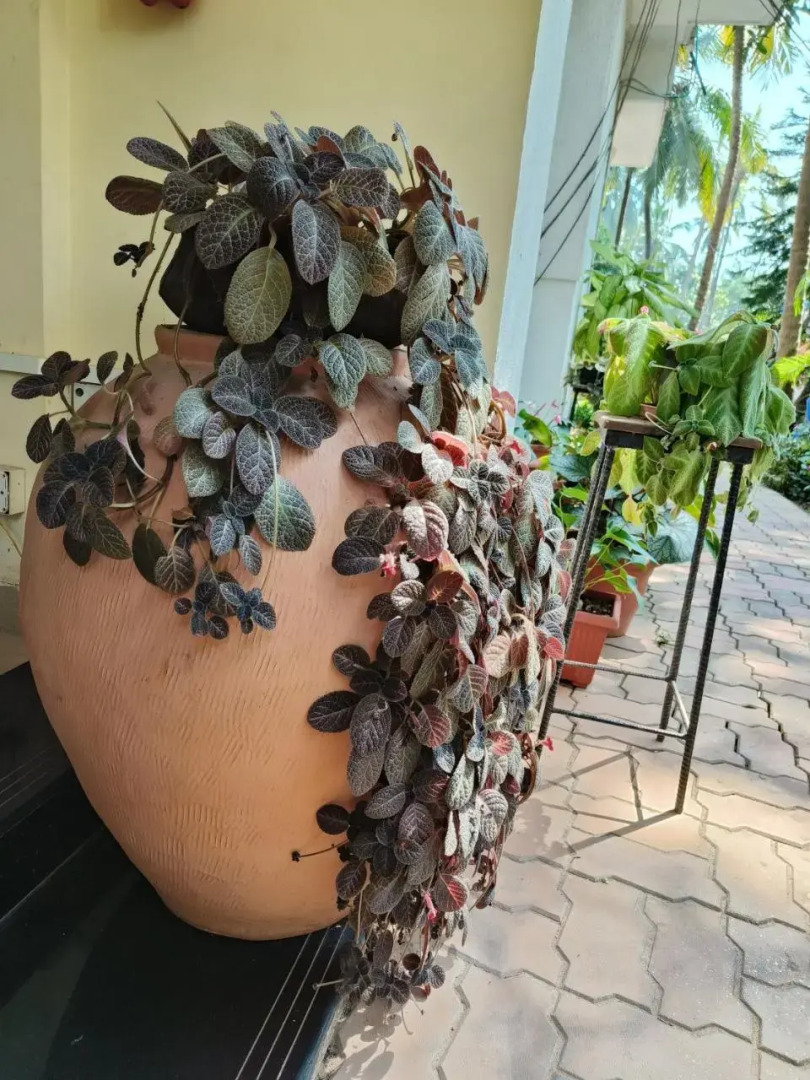 Sabina's Guest House