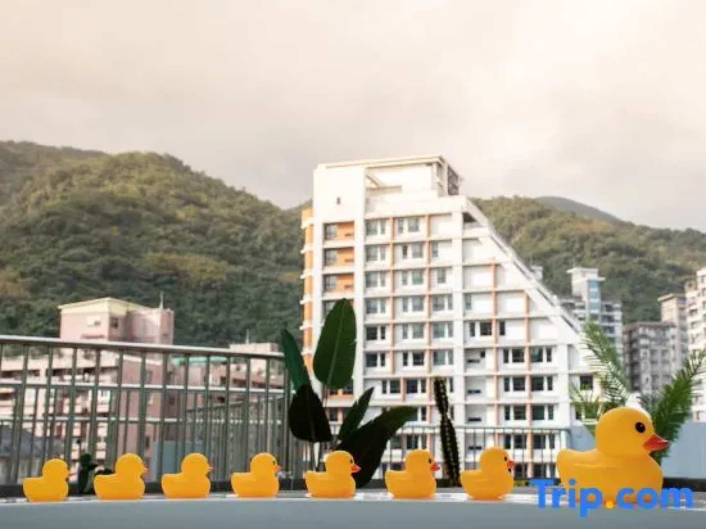 Duoai Mineral Spring