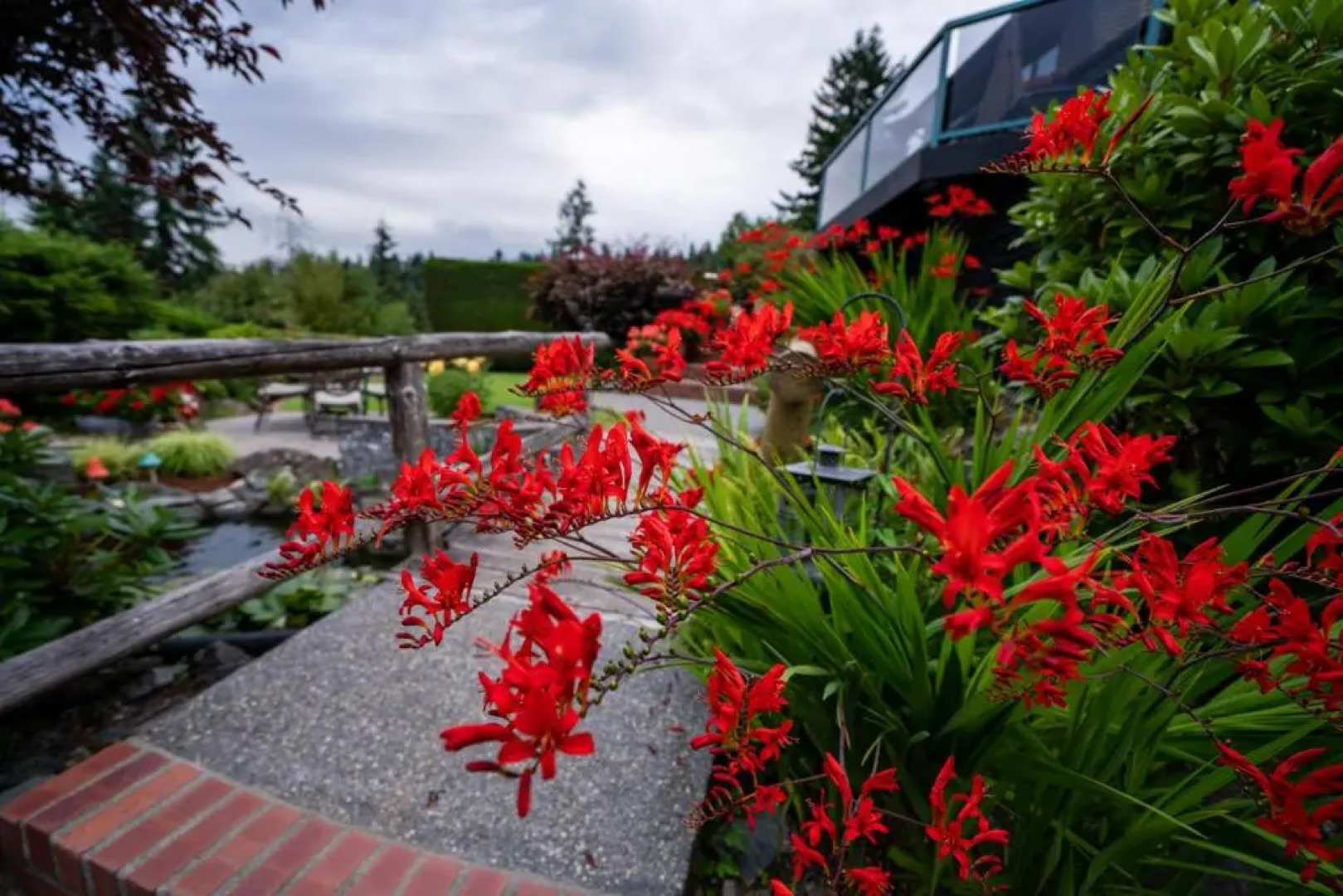 Olympic View Cottage