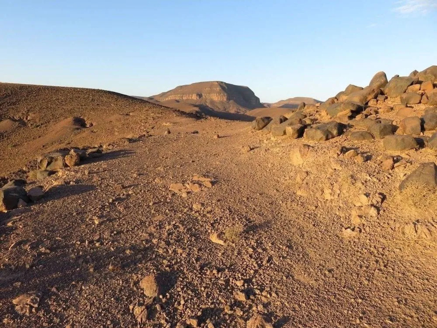 Tissili Auberge Restaurant Oasis de Fint