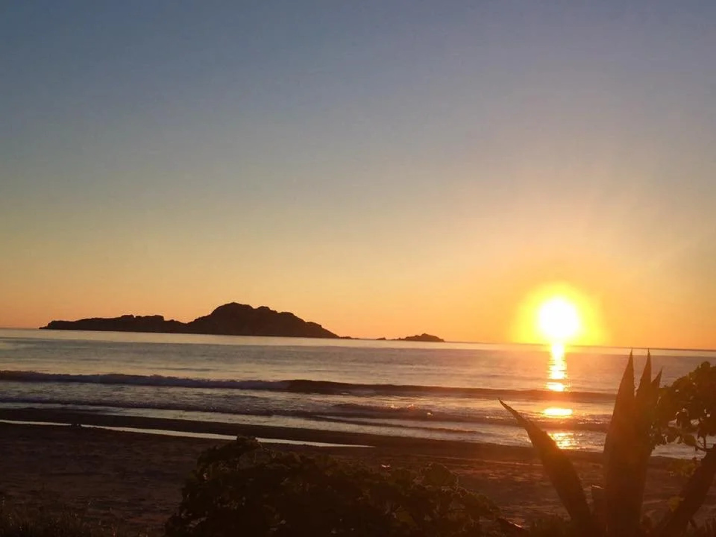 Aragorn Paradise Garden