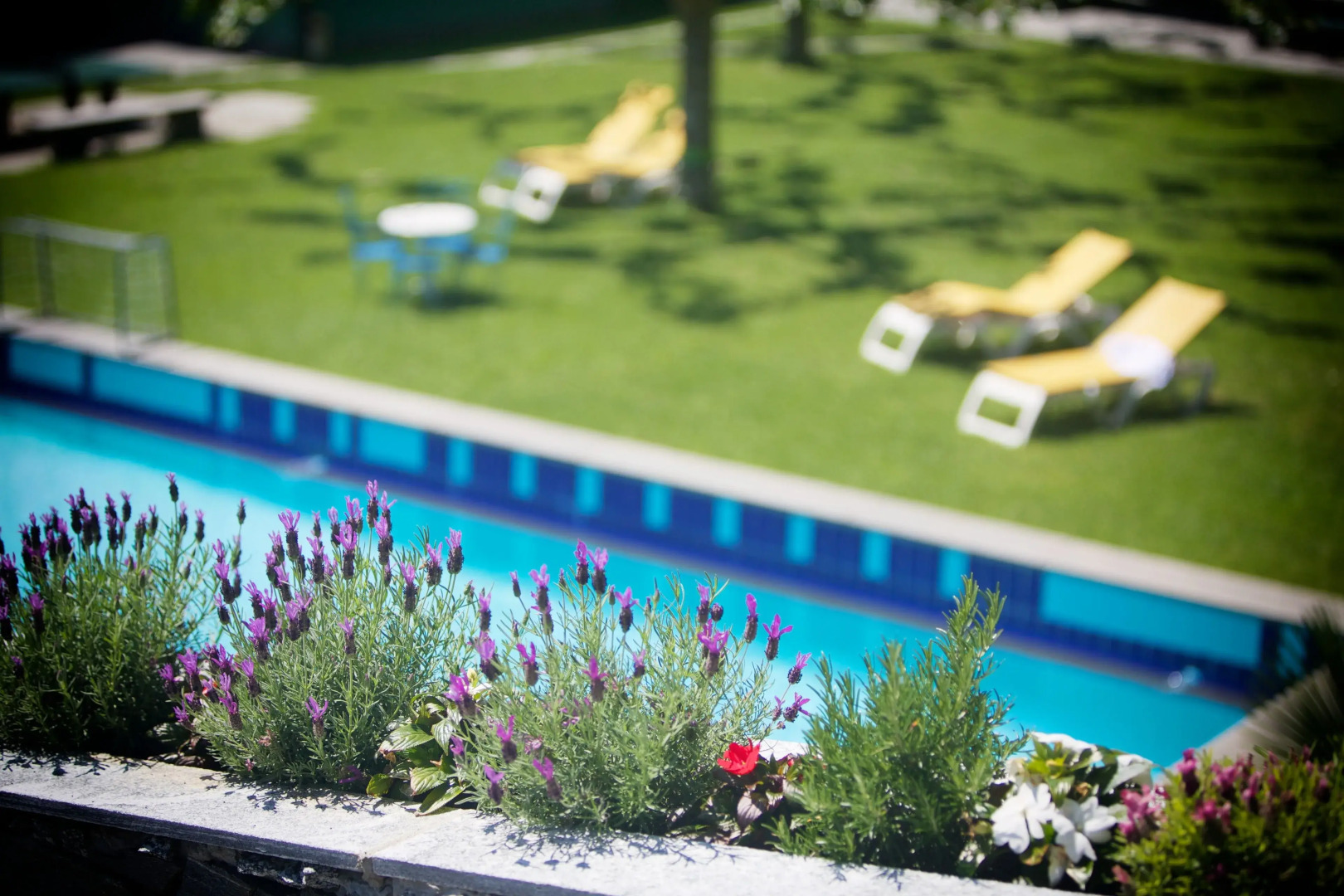 Bamboohouse Motel Riazzino