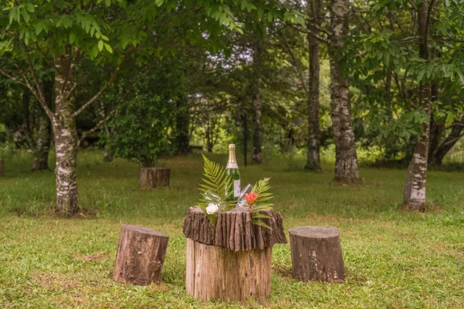 Complejo Cabañas Quilamalen