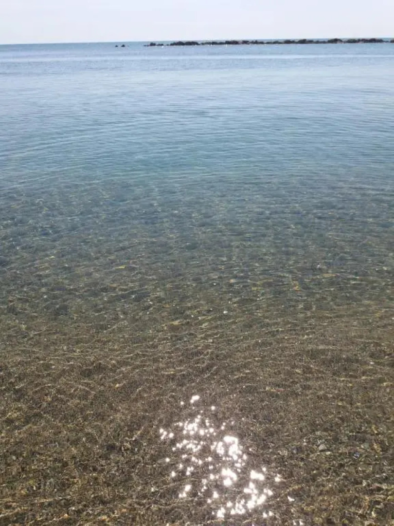 Appartamento in villa Nicola's house