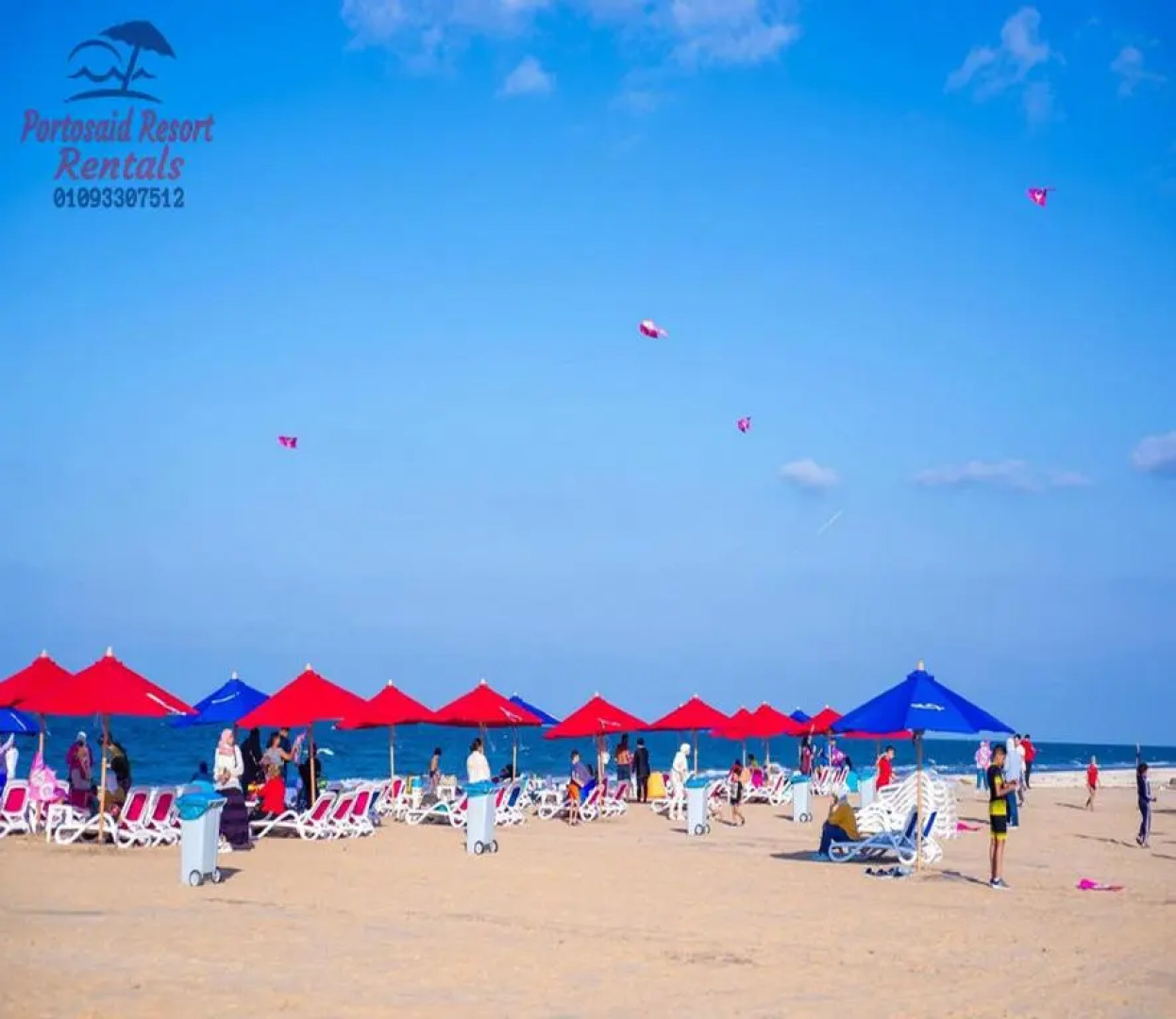 شقه فندقيه منتجع Porto said