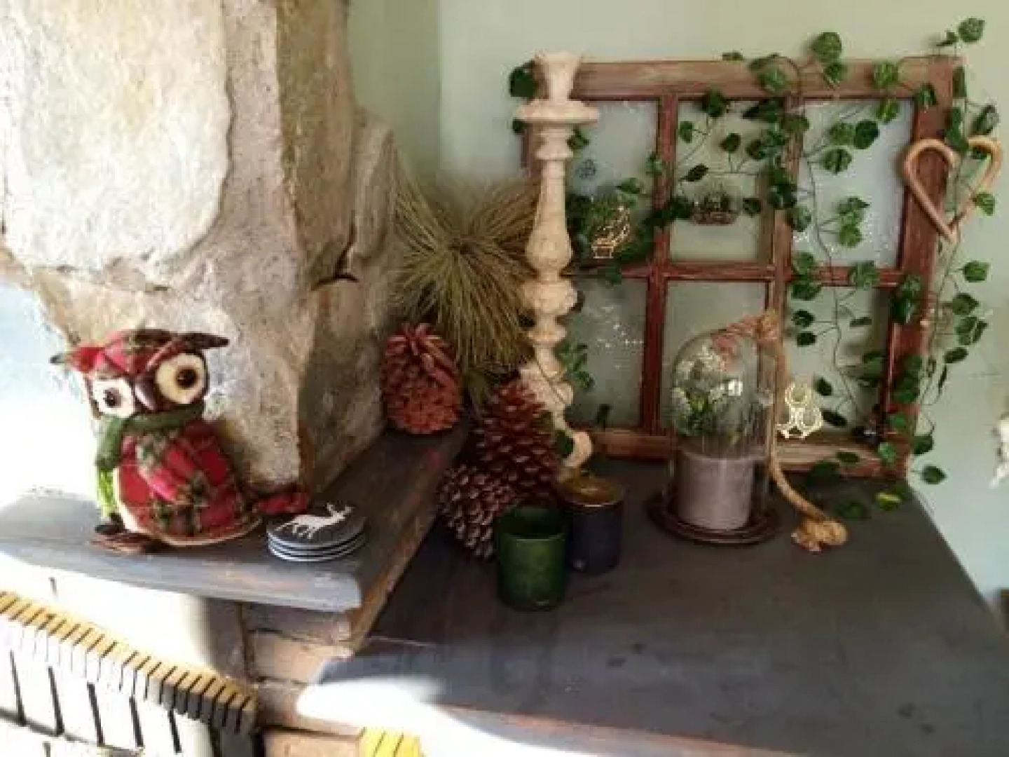 Ziggy's Mountain Retreat