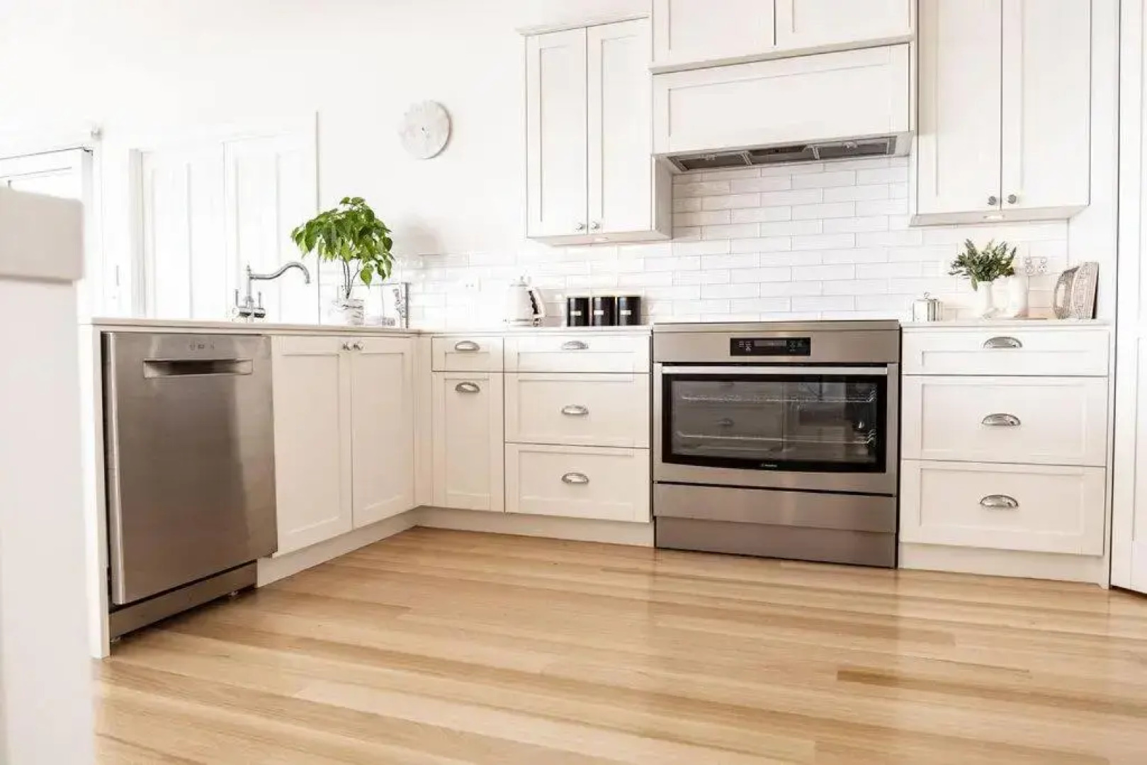 Nautilus Bay of Fires