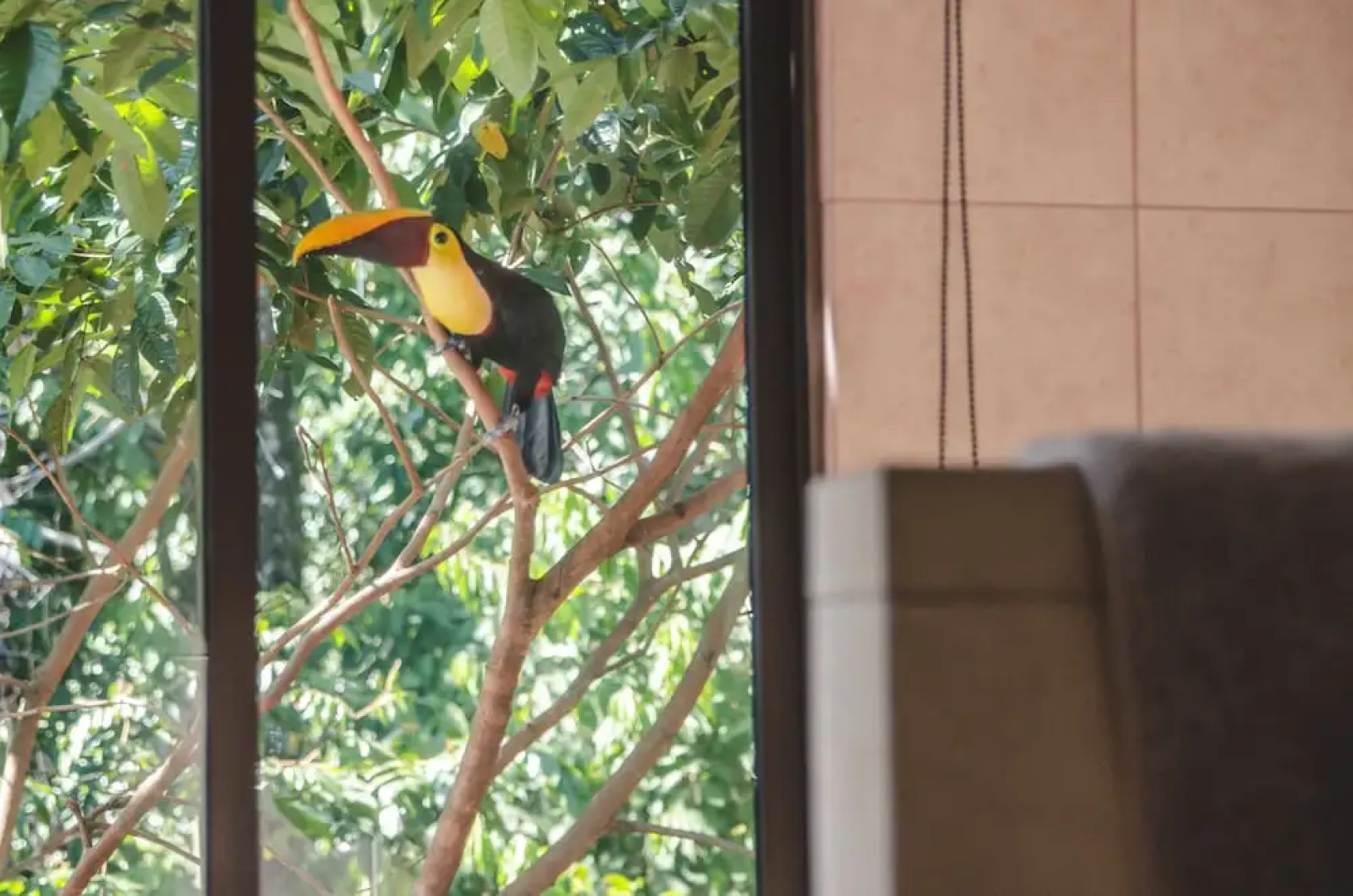 Vista Oceana, Stunning Ocean View Villa