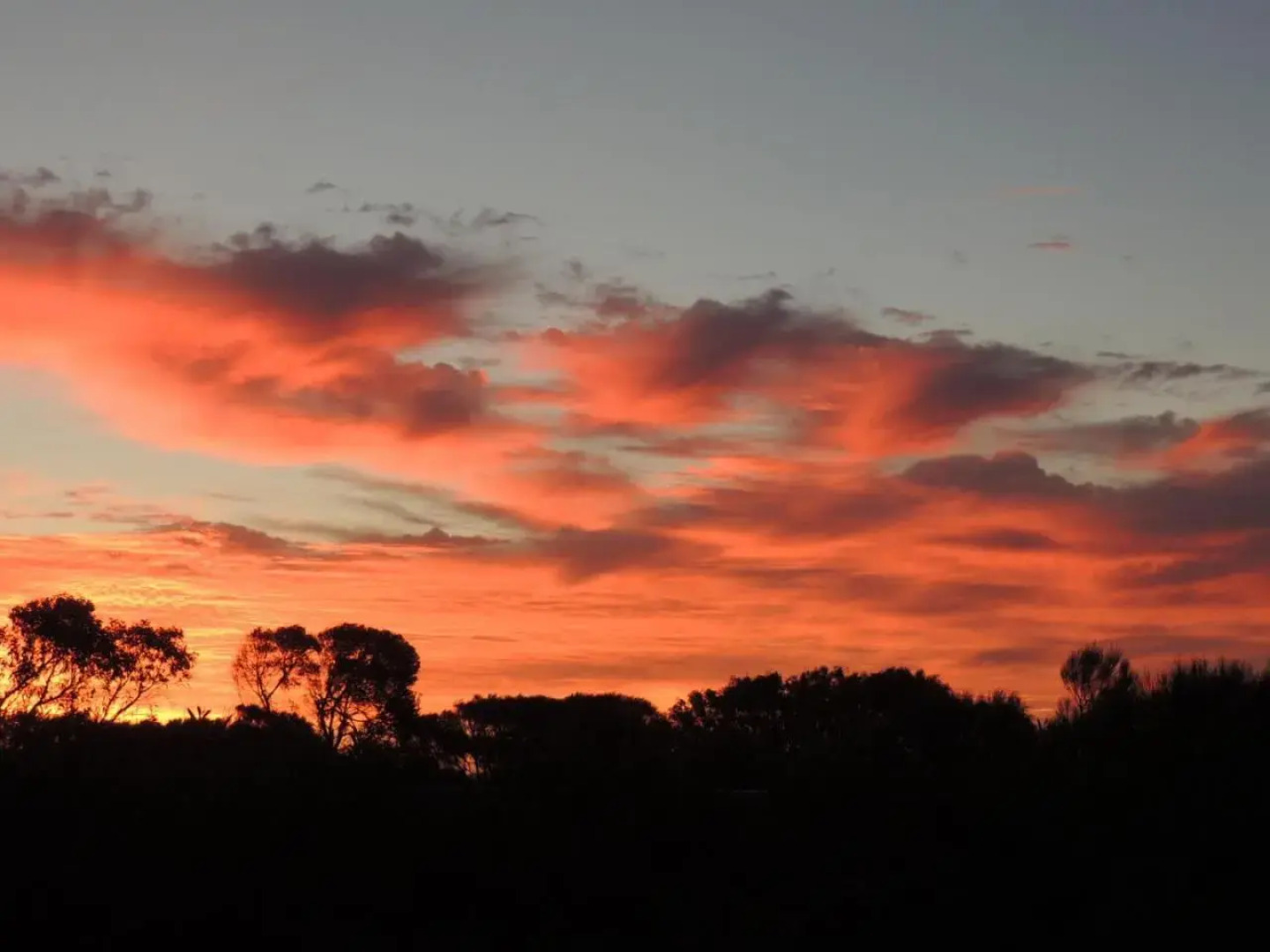 Samphire: Coorong Accommodation