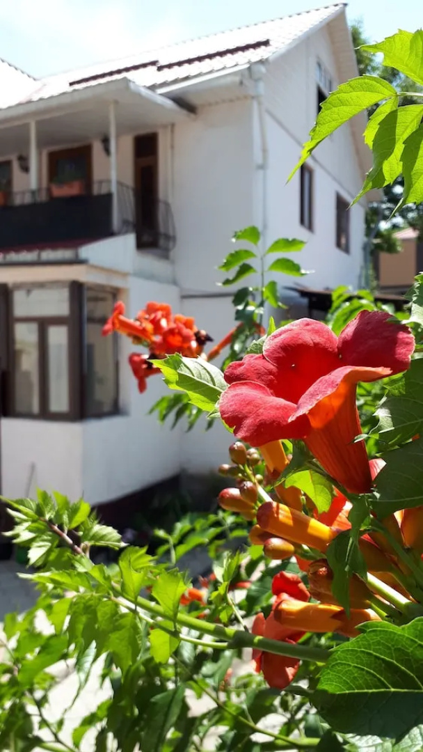 World Travelers Hostel