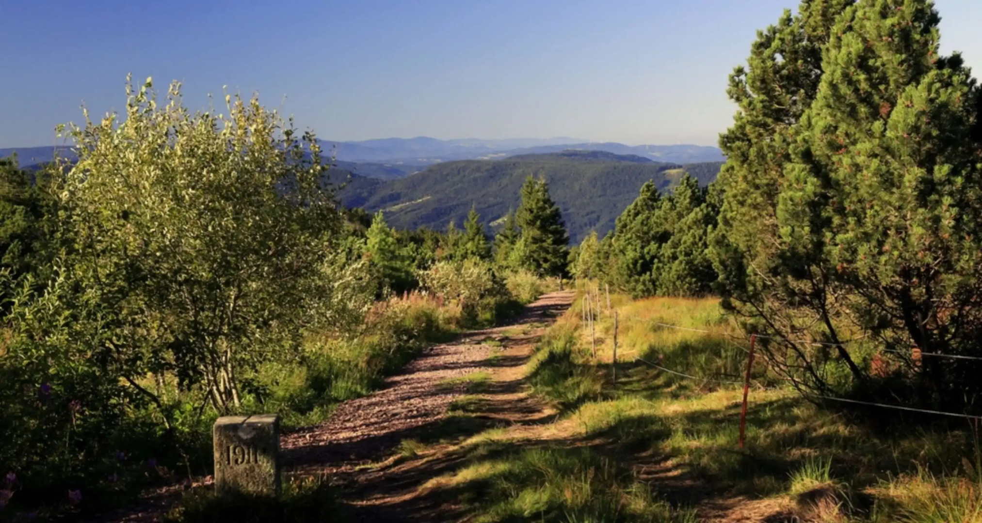 Wellness- & Nationalpark Hotel Schliffkopf Bwsc