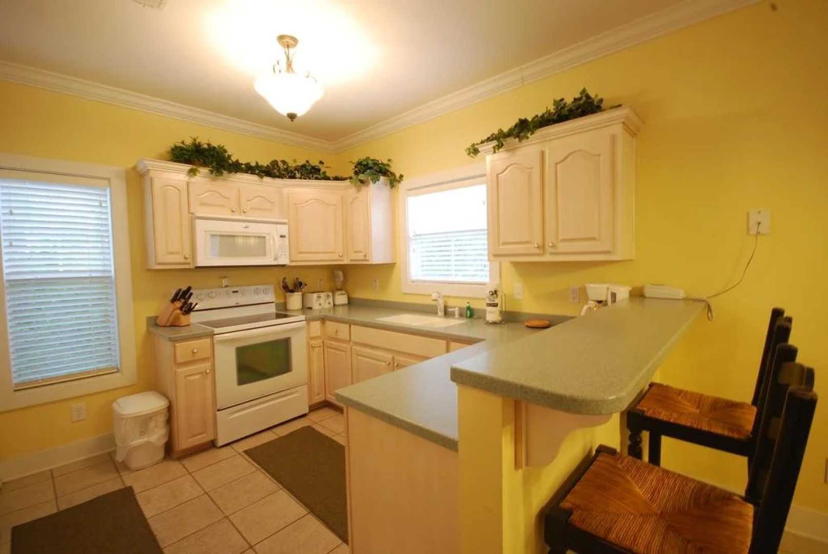 Purple Parrot Village