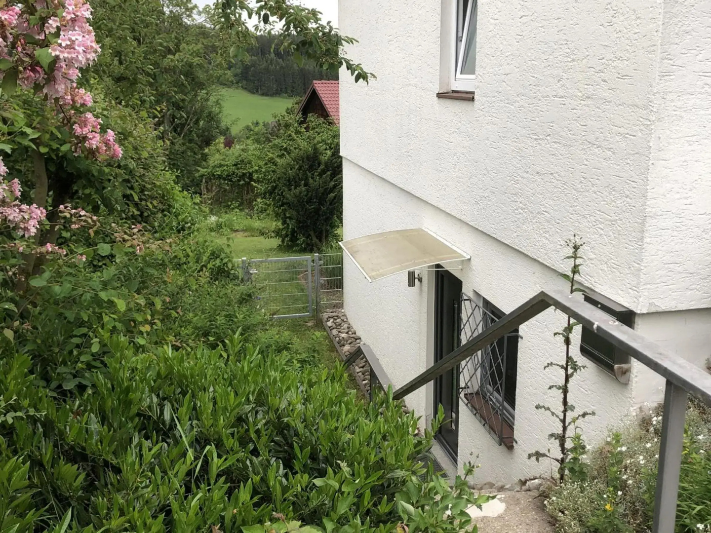 SCHWARZWALDHIRSCH