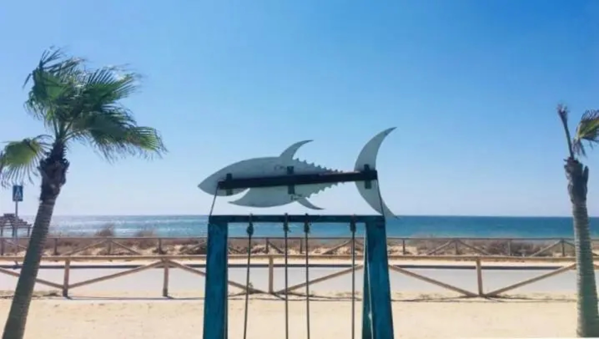 Beautiful studio in Vejer