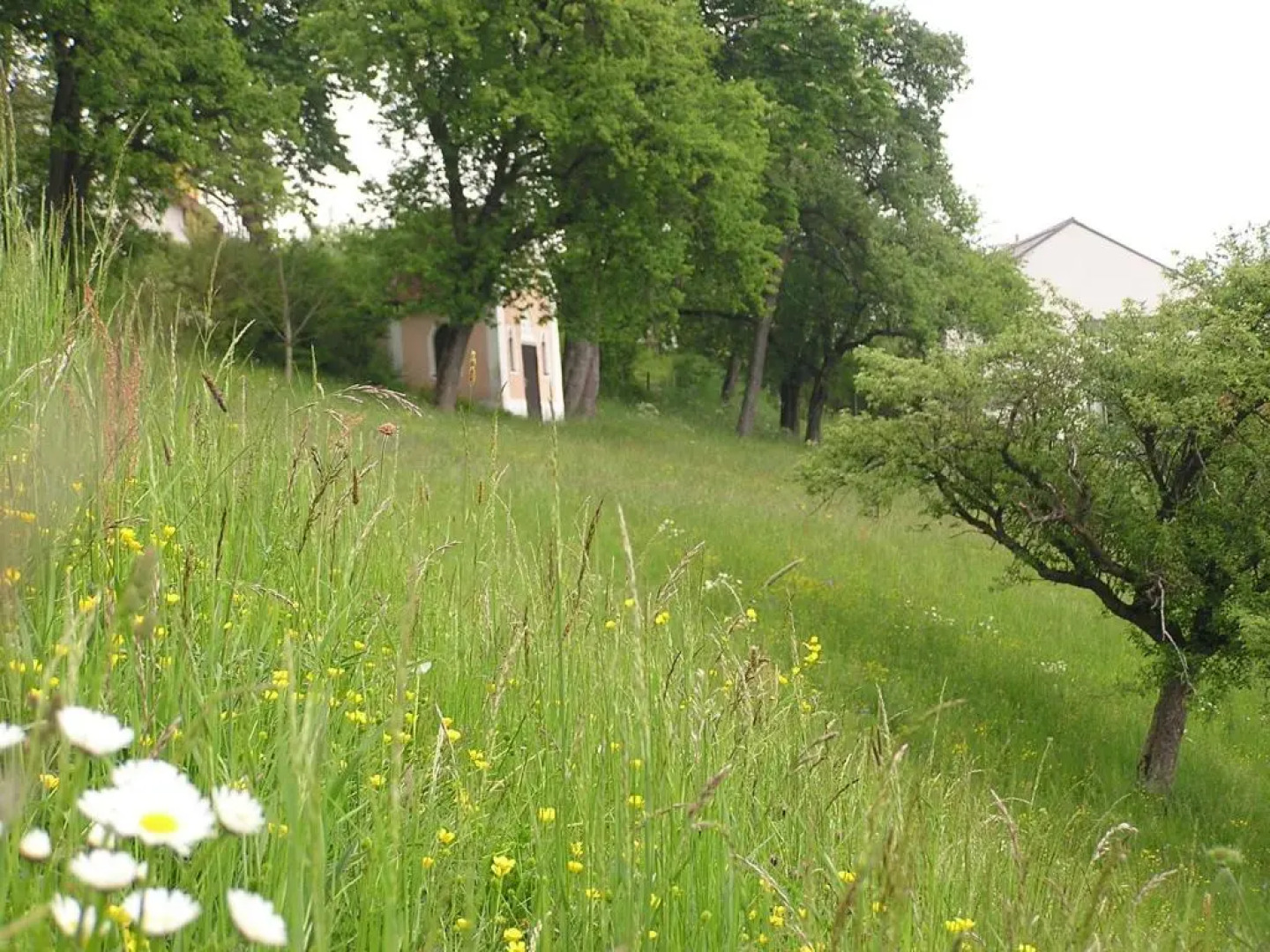 Hotel Gasthof Zweimüller