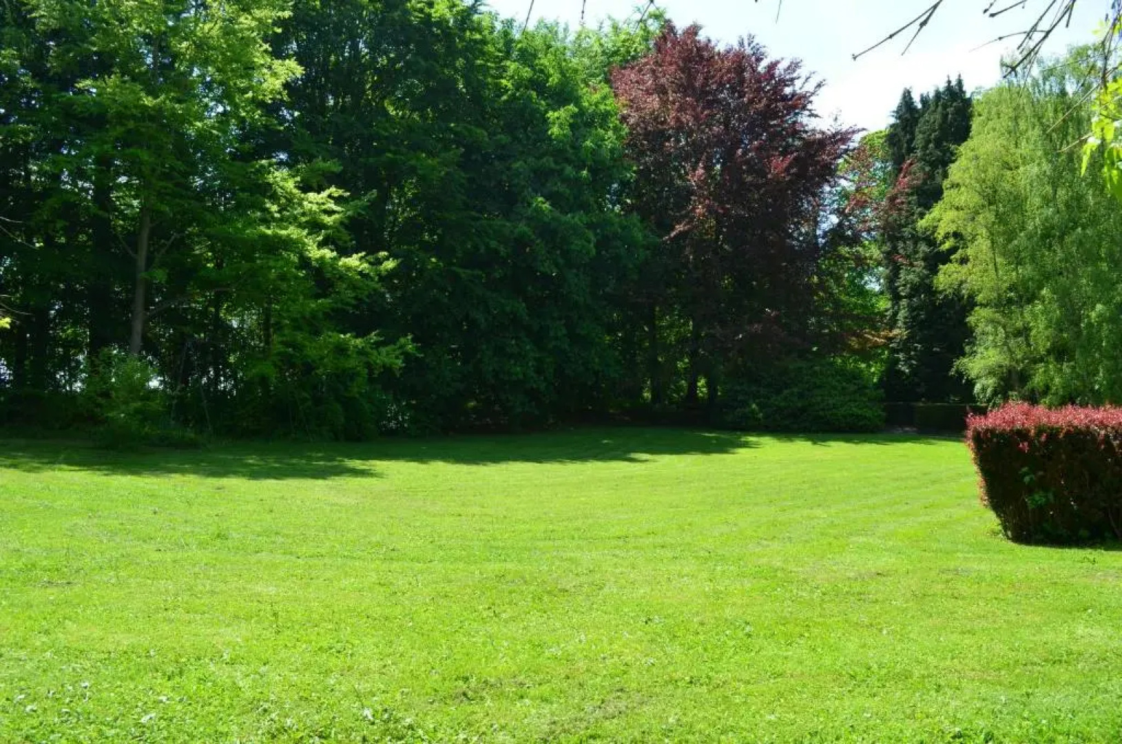 Château de la Motte