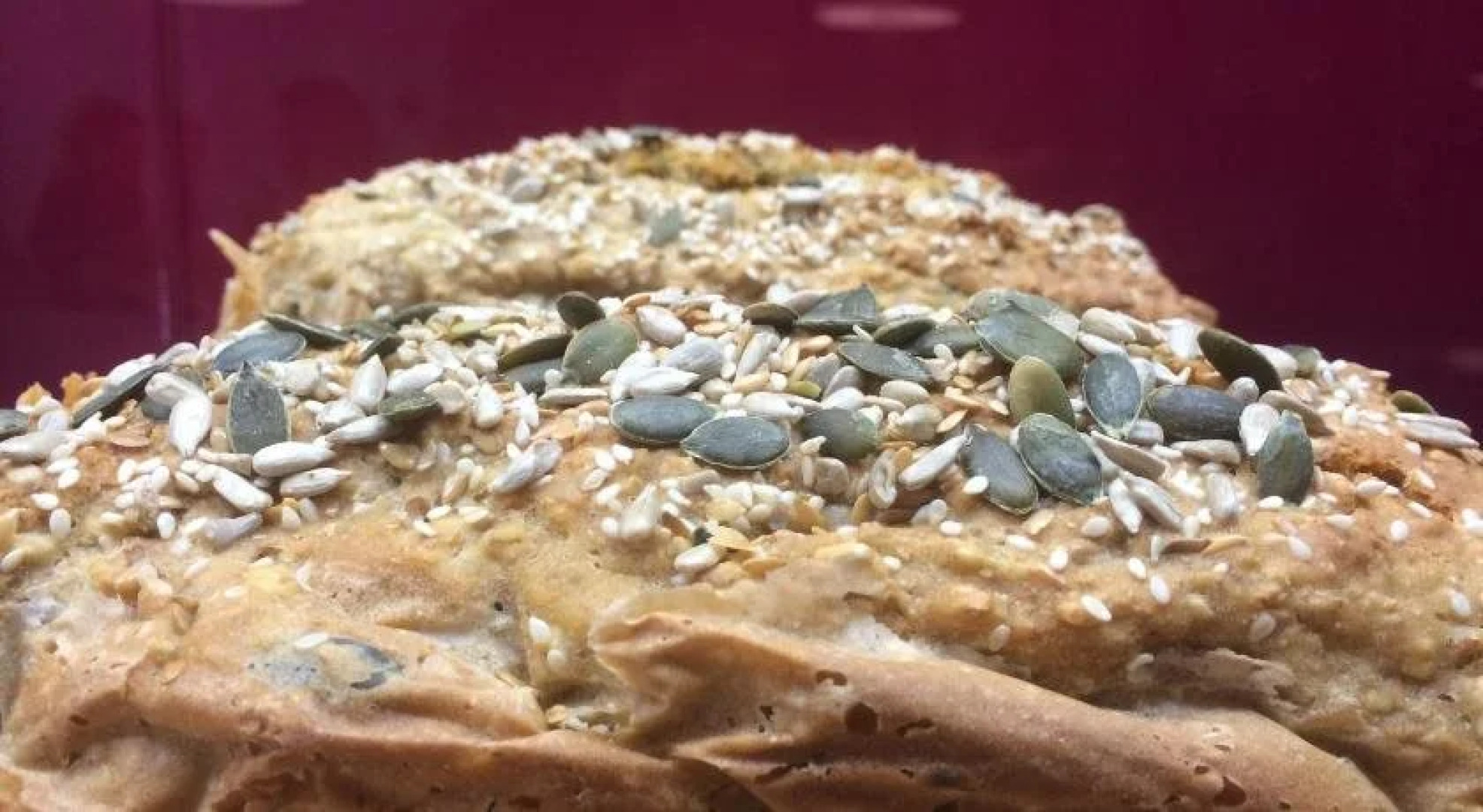 The Old Mill Holiday Hostel