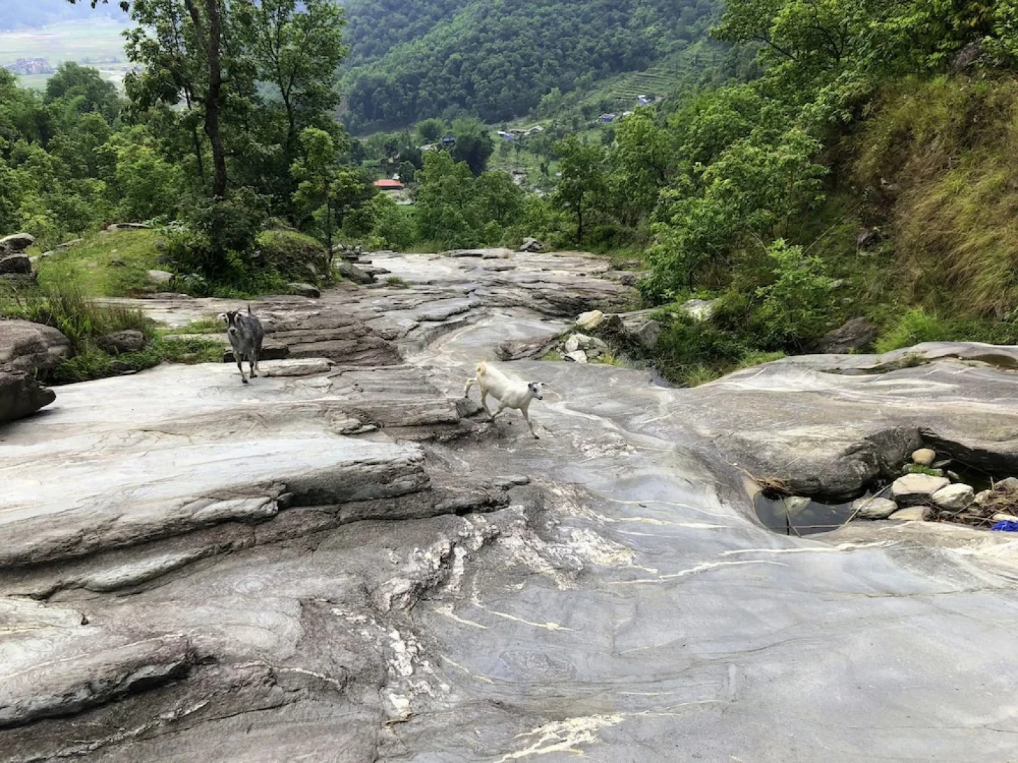 Indreni organic farm and homestay - Hostel