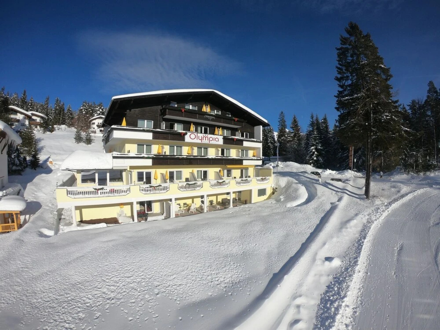 Apart Hotel Olympia Tirol