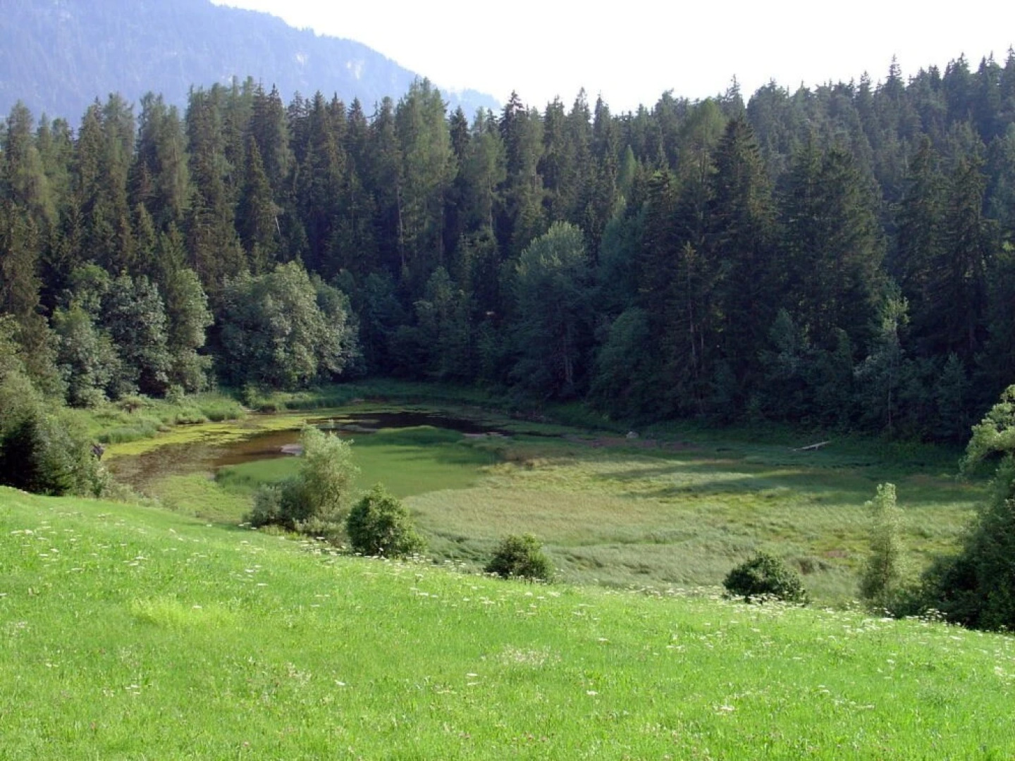 Casa Migiur Laax in Laax