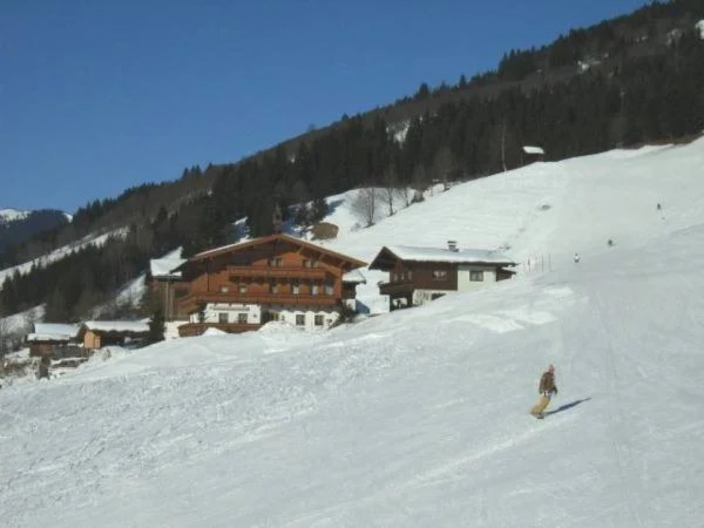 Ferienhof Wölflbauer