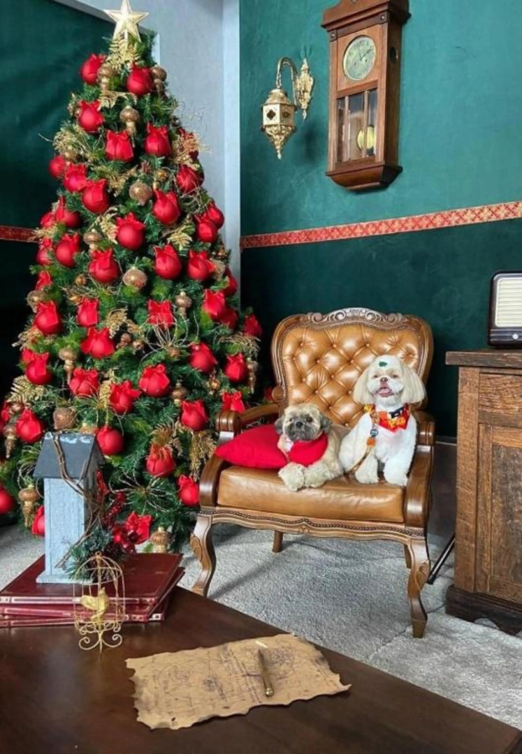 Dall'Onder Grande Hotel