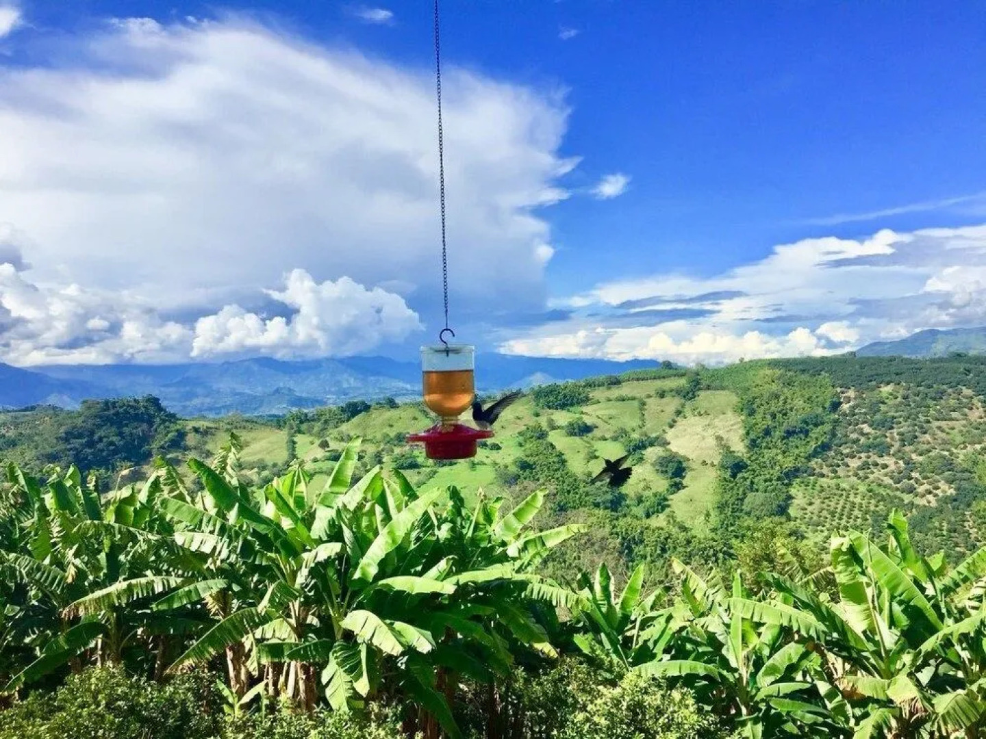 Hotel Hacienda El Caney