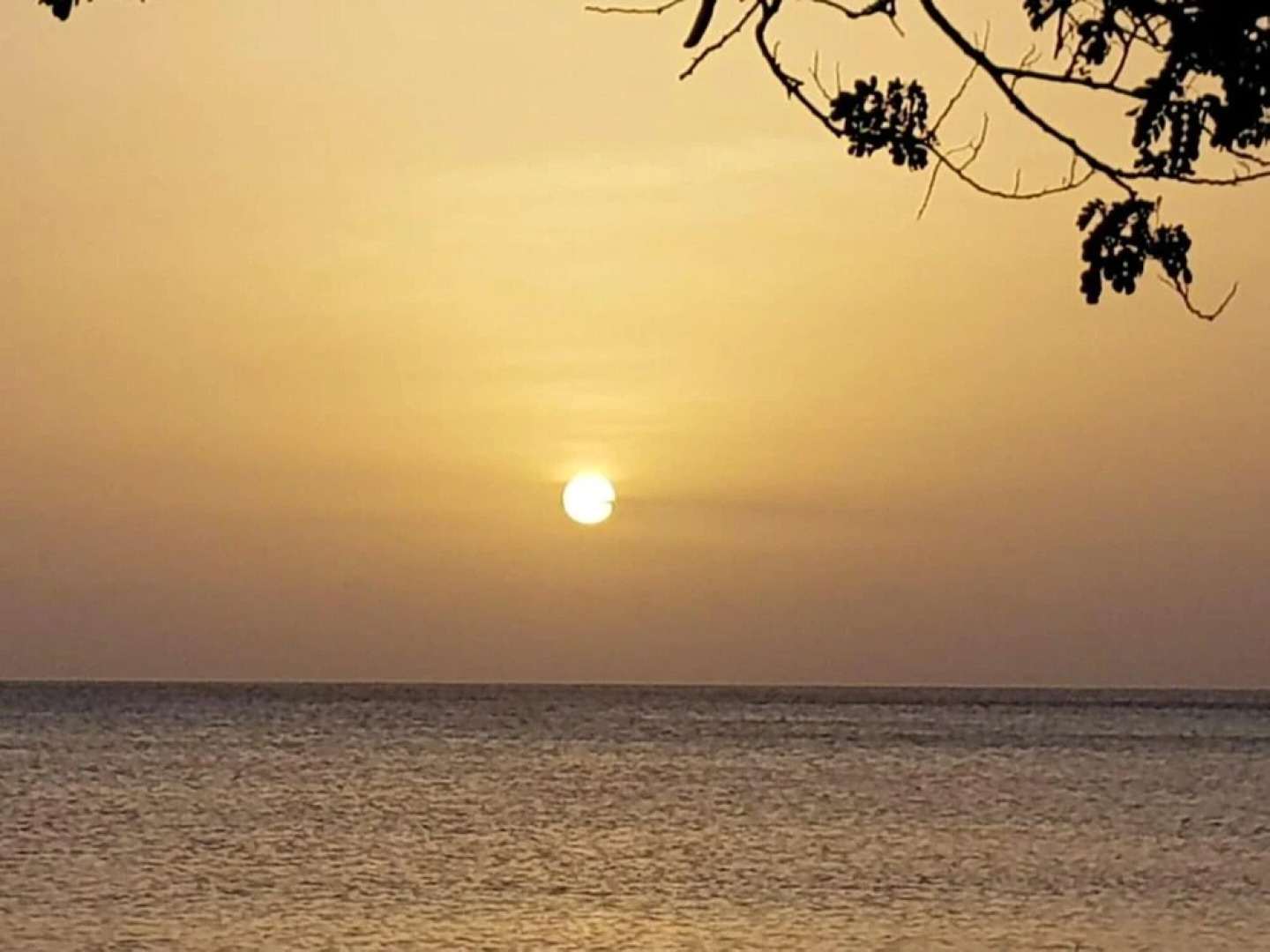 House With one Bedroom in Sainte-rose, With Furnished Garden and Wifi - 10 km From the Beach