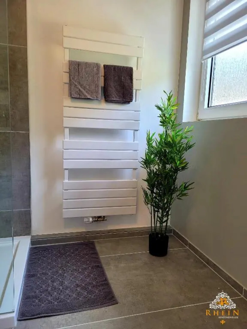 Top Modernes Rhein Apartment Vallendar