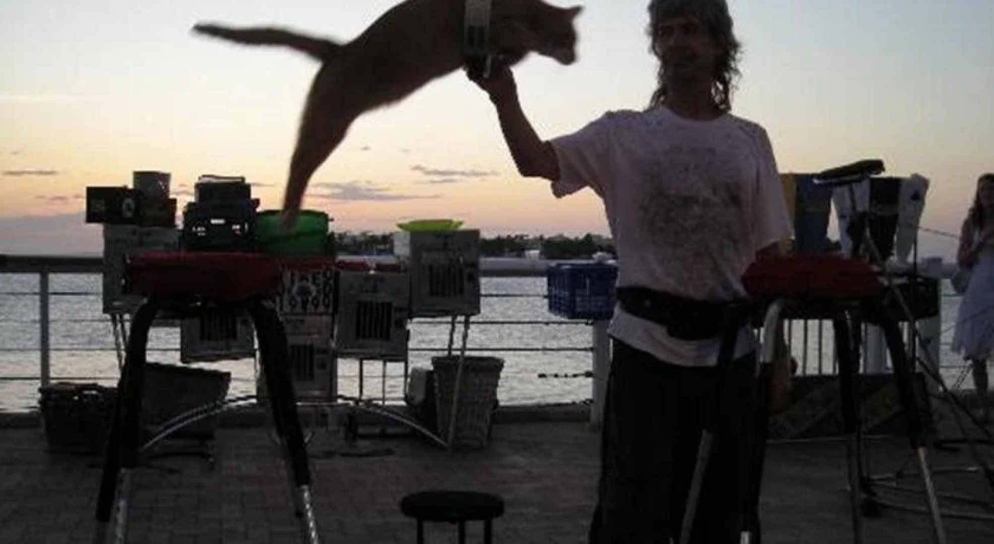 Coconut Beach Resort