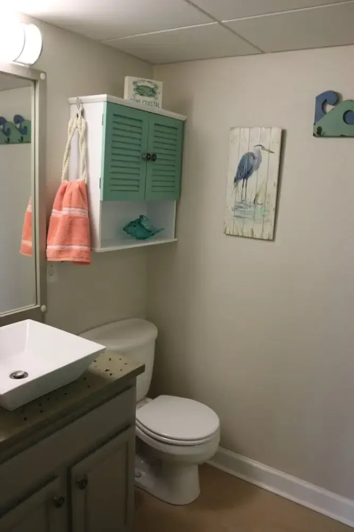 Sand Dollar by Surfside VR