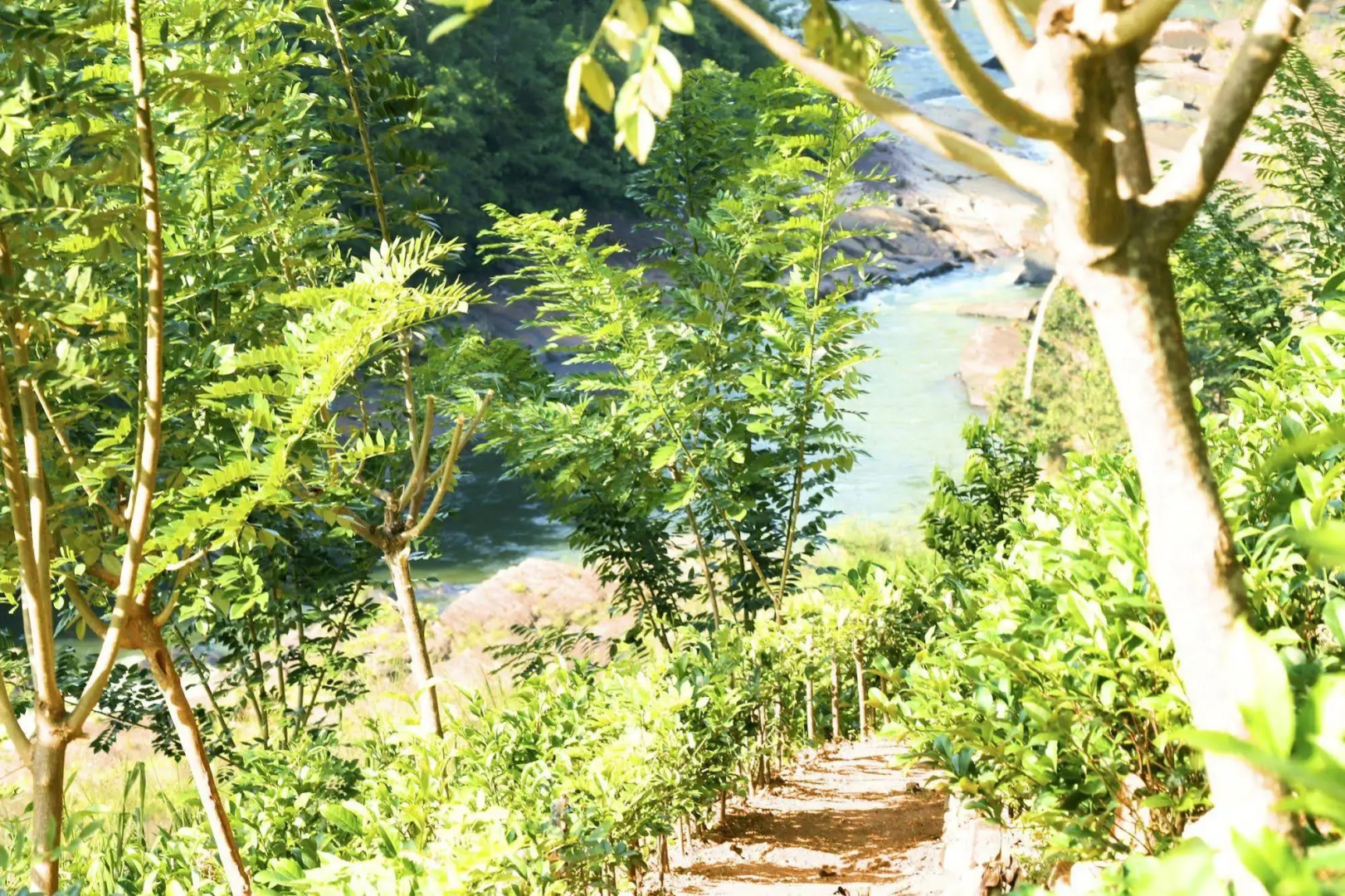 Aqua Dunhinda Villa & Nature Retreat