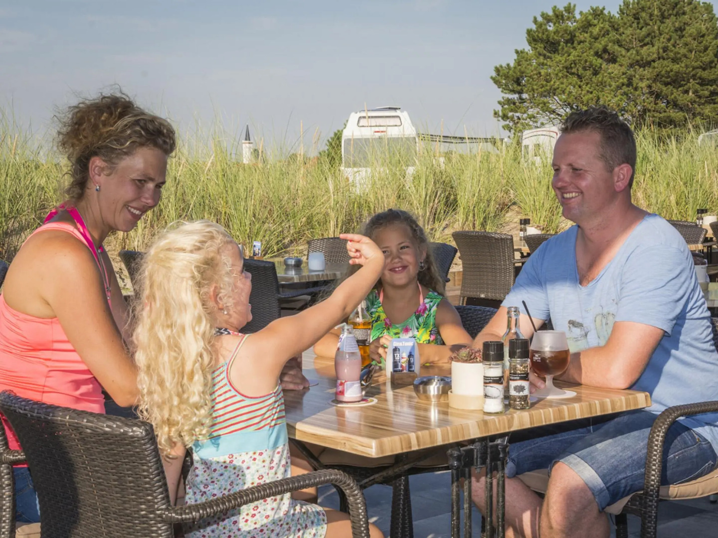Comfortable chalet with dishwasher, in the Texel dune areal