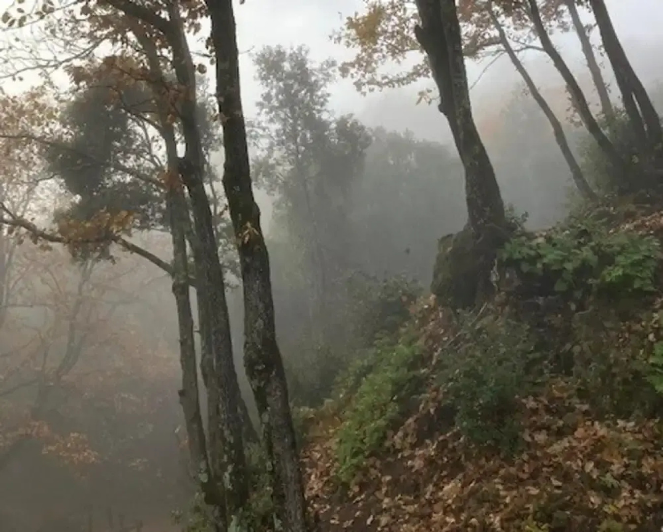 Alba 2-bed Cottage - Sleeps 4 - Montseny Park