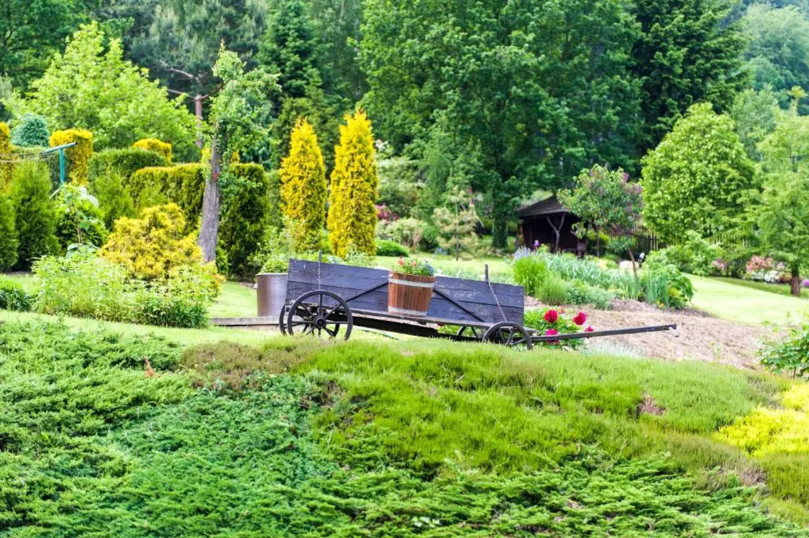 Agroturystyka Wzgorze Magnolii