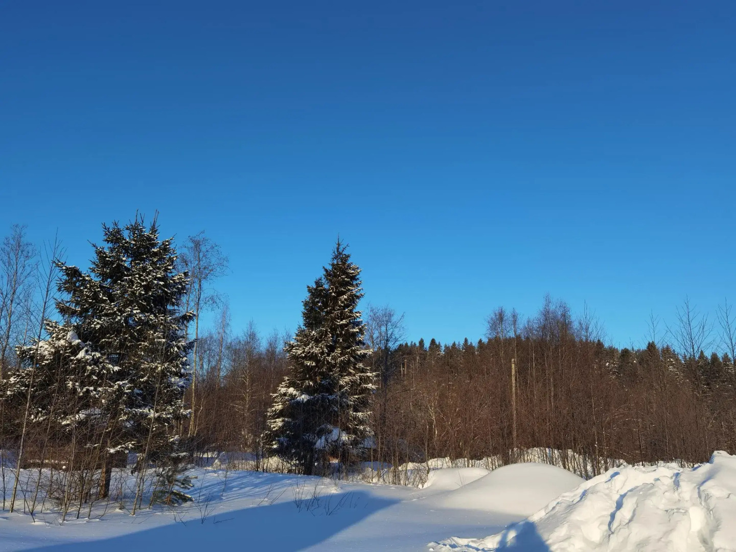 Дом в Карелии