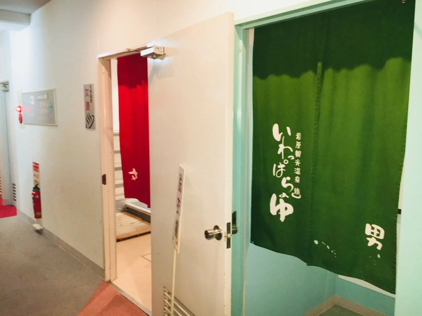 Hotel Alphastar Iwappara