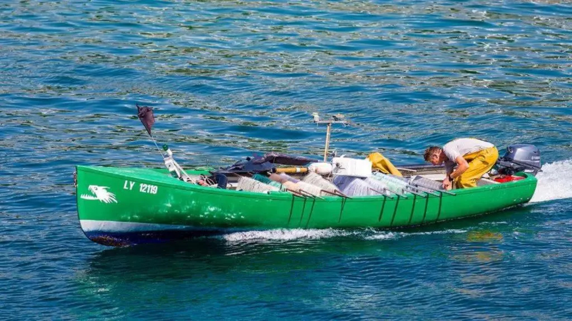 Entre Alpes Et Leman