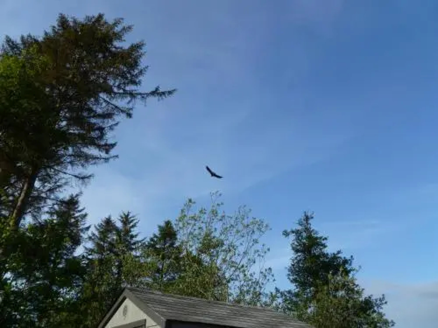 Gearhart Lakefront Vacation Rental