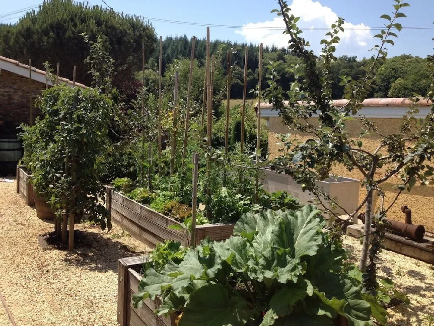 Les Chambres d'Hôtes du Mont Monnet