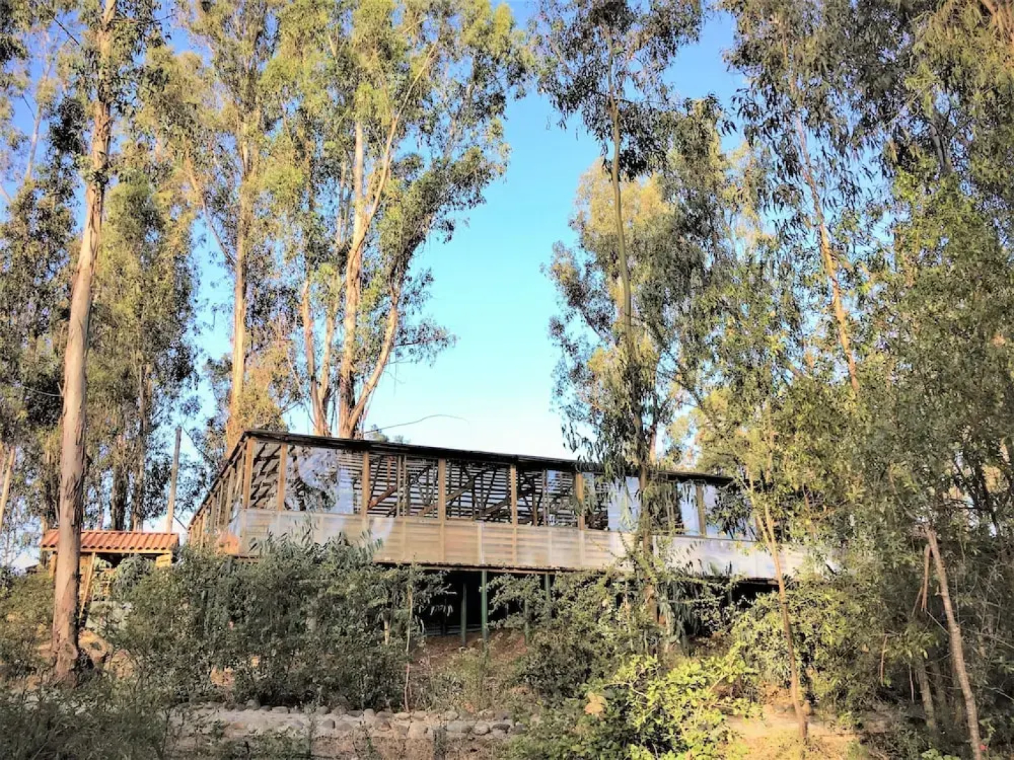 Hotel & Spa Colinas de Cuncumen