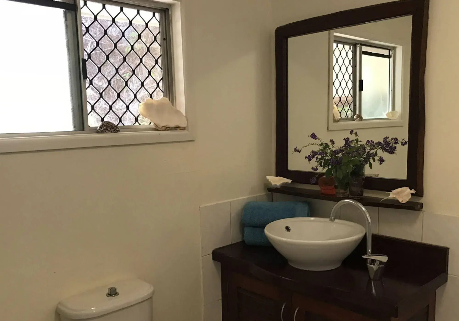 Daintree Secrets Rainforest Sanctuary