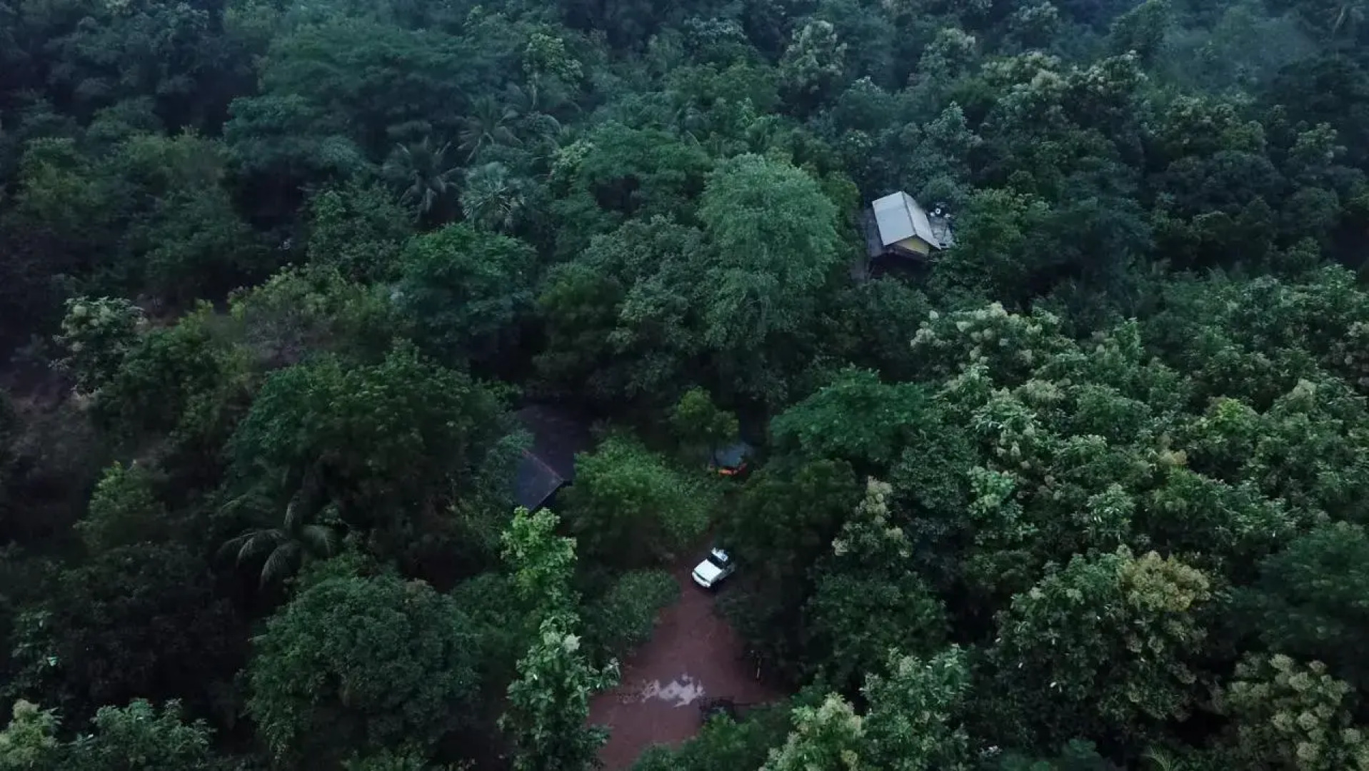 Walawa Blue Sapphire