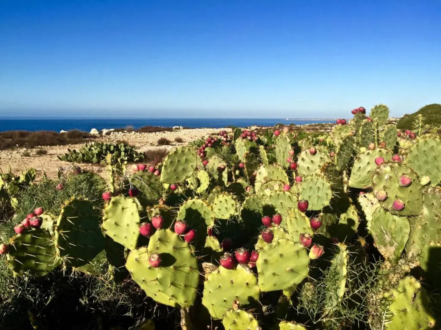 B&B Cinisi Mare e Monti