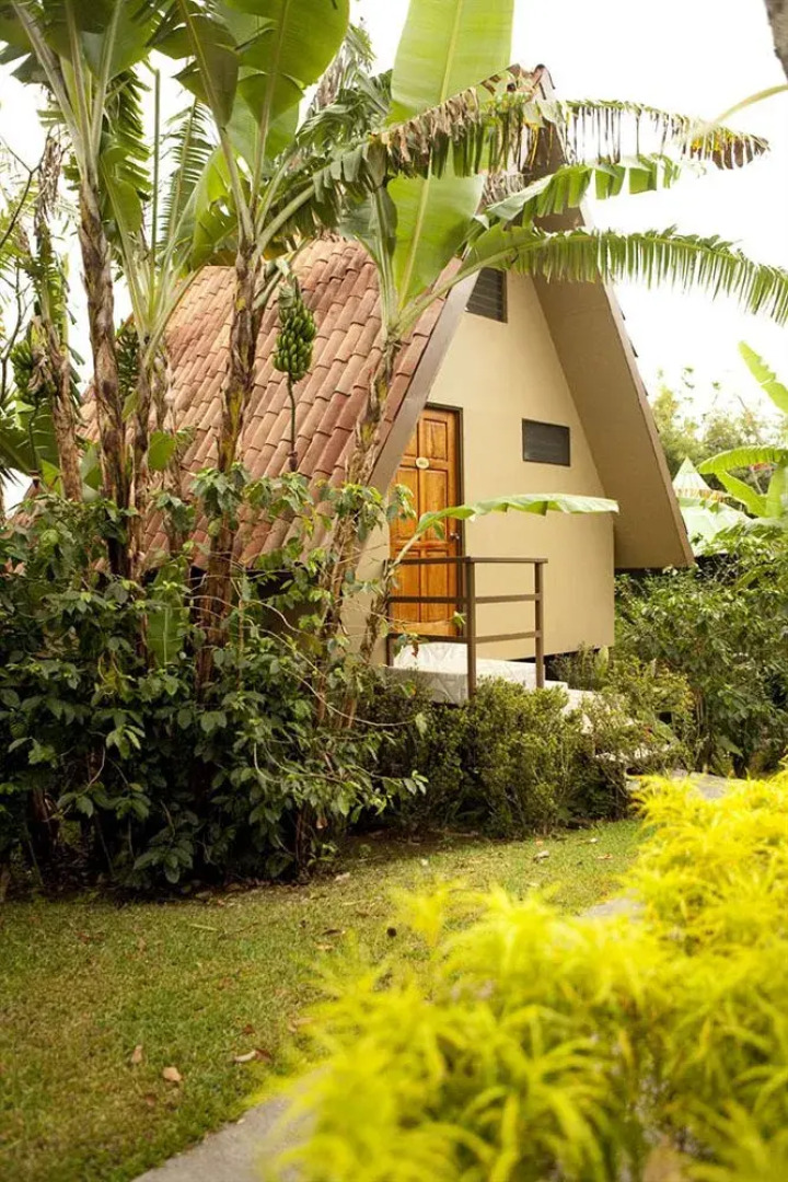 Pura Vida Retreat & Spa