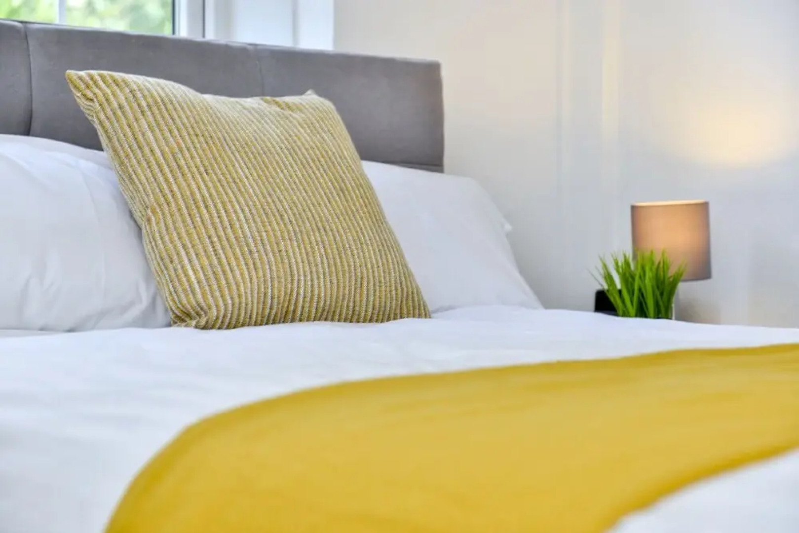 7a Scotgate by Vose Nights