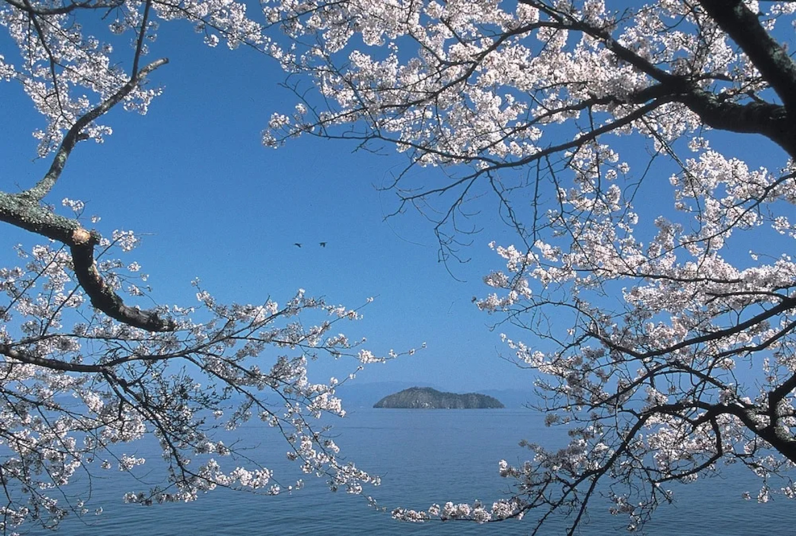 Business Hotel Serikawa